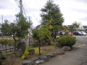 Dscn1989