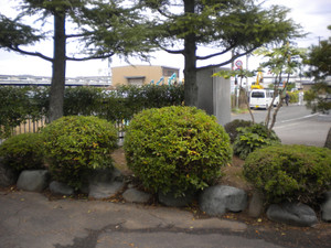 Dscn1990