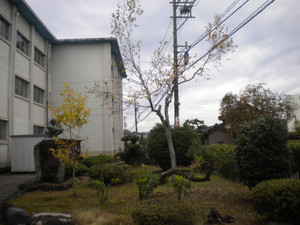 Dscn1992