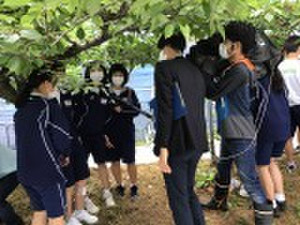 Photo_3