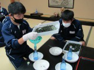 Photo_5