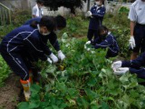 Dscf9581