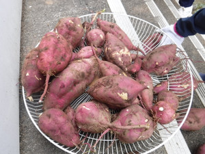 Dscf9615_2